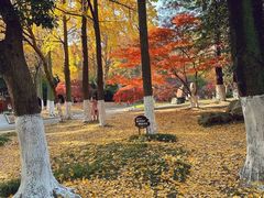-虞山风景区