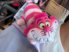 -巴黎迪士尼乐园