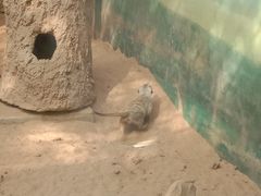 -昆明动物园