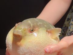 -永安鱼庄·镇江菜(东吴路店)