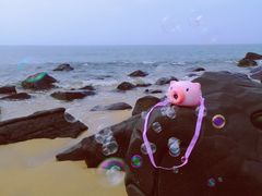 -漳州滨海火山岛自然生态风景区