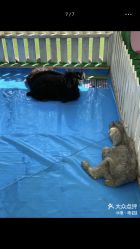 -萌宠亲子动物乐园(槐房万达店)