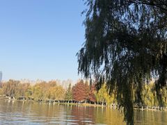 -滨湖塘西河公园