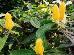 -北京植物园-展览温室