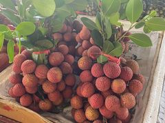 -羊栏农贸市场(羊新路店)