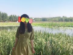 -北京麋鹿生态实验中心