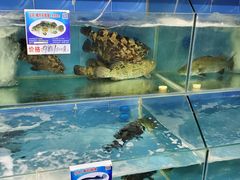 水产区-琼大师东方烤乳猪(亚特兰蒂斯店)