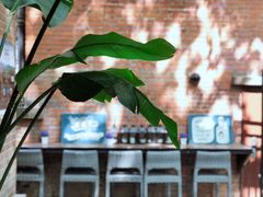 -Boxing Cat Brewery拳击猫精酿啤酒馆(永福店)