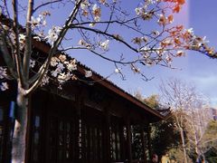 -堤角公园
