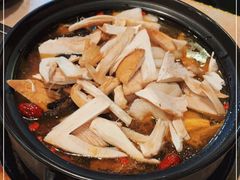 -蘑统田下·野生菌火锅
