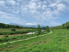 -洨河生态公园