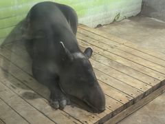 -石家庄市动物园