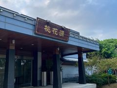 -金鸡湖桃花岛