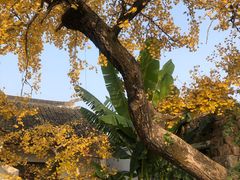-东山风景区(洞庭东山)