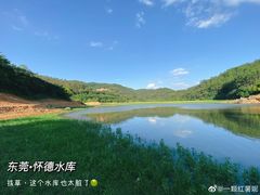 -东莞市大岭山森林公园
