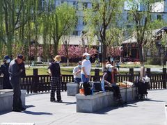 -西海子公园