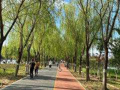 -大兴滨河森林公园