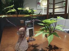 -十二舍·湯物素煮(江泰潤政店)