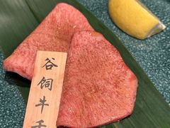 -老乾杯(深圳湾万象城店)