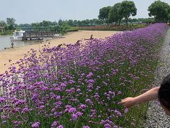 -歌斐颂巧克力小镇