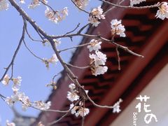 -堤角公园