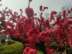 -元大都城垣遗址公园