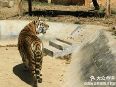 -昆明动物园