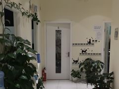 -谈·PIANO(金唐新光界店)