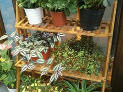 -猫的天空之城概念书店(杭州南宋御街店)