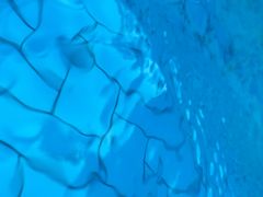 -重庆海昌加勒比海水世界