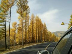 -塞罕坝国家级自然保护区