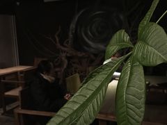 -秃鹫湾·推理大师沉浸式实景演绎推理剧场