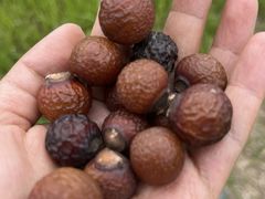 -白鹭湾湿地公园