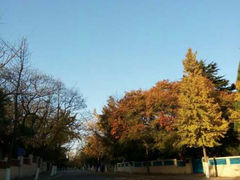 android_upload_pic-八大关景区