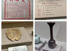 -北京中医药大学-中医药博物馆
