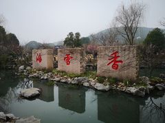 -香雪海