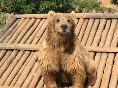 -济南野生动物世界