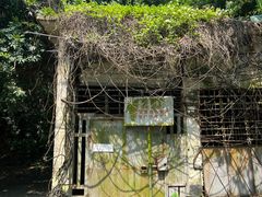 -紫云谷景区