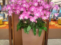 -聚福宝合苑食府(南头镇店)