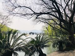 -星巴克(西湖天地店)