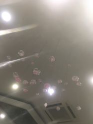 -环球蝶上美业连锁