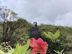 -大围山国家森林公园