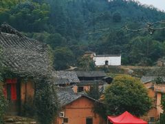 -杨家堂村