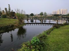 -眉山湿地公园(东坡区)