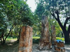 -国家植物园南园