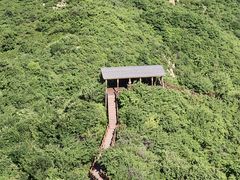 -大岭沟猕猴桃谷风景区