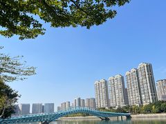 -五缘湾湿地公园