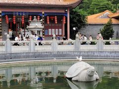 -顺峰山公园