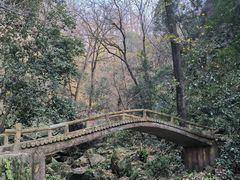 -波尔登森林公园