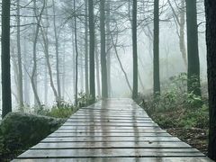 -白草畔自然风景区